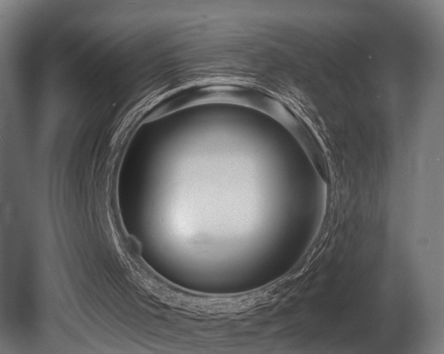 X0000081280001200701111344