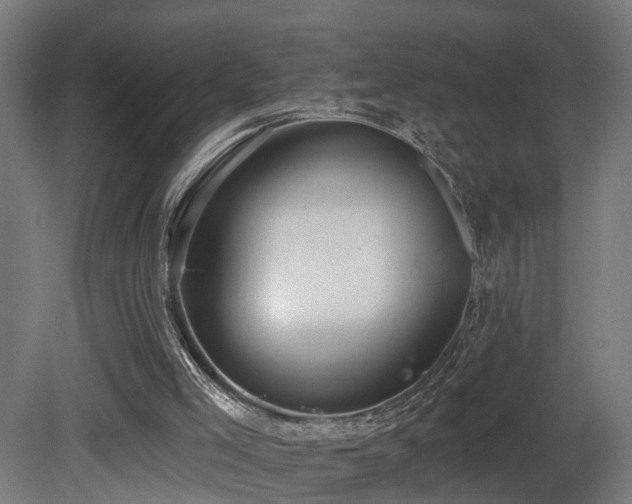 X0000081280005200701111344