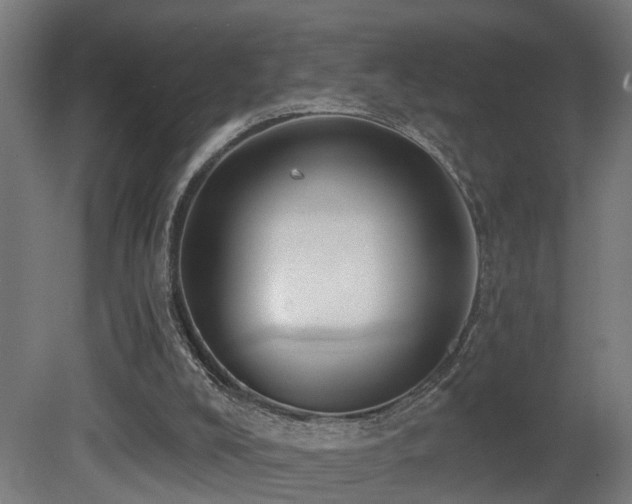 X0000081280008200701111344