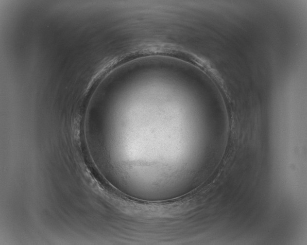 X0000081280010200701111344