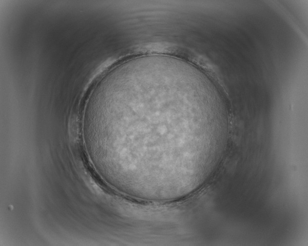 X0000081280012200701111344