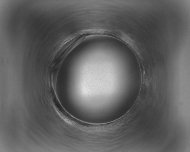 X0000081280013200701111344