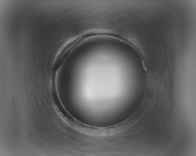 X0000081280015200701111344