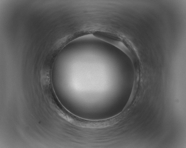 X0000081280017200701111344