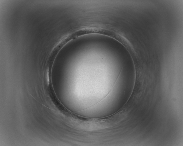 X0000081280020200701111344