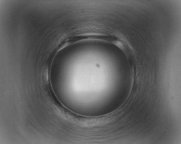 X0000081280021200701111344