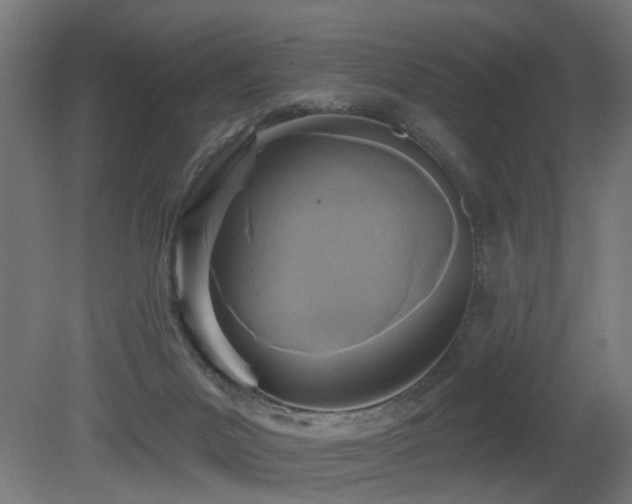 X0000081280023200701111344
