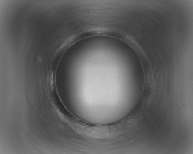 X0000081280024200701111344