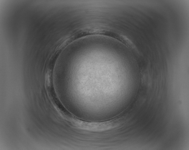 X0000081280026200701111344