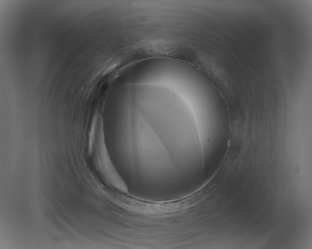 X0000081280027200701111344