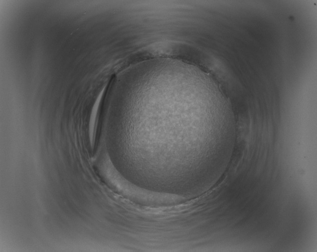 X0000081280029200701111344