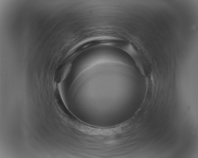 X0000081280031200701111344