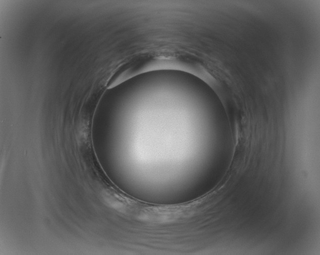 X0000081280033200701111344