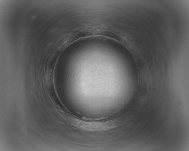X0000081280034200701111344