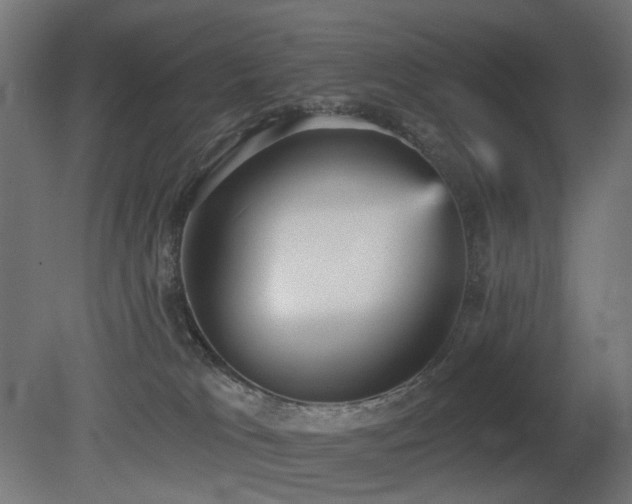X0000081280037200701111344