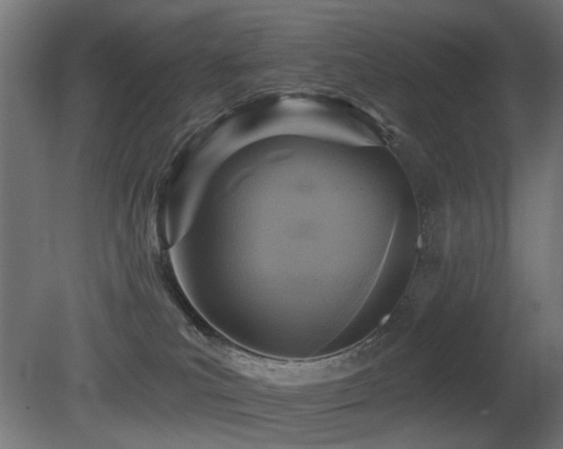 X0000081280039200701111344