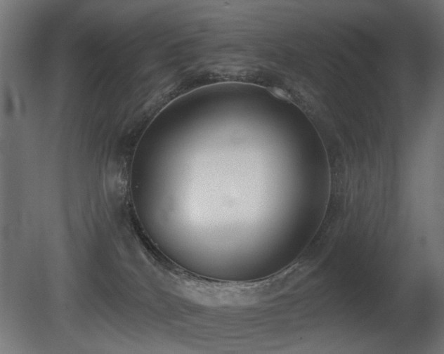 X0000081280040200701111344