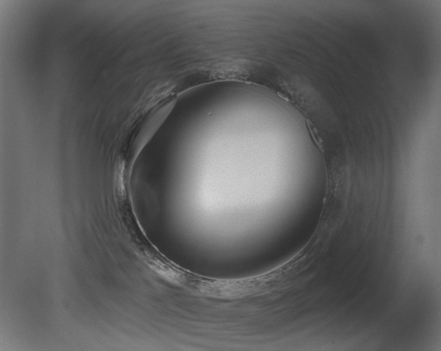 X0000081280041200701111344