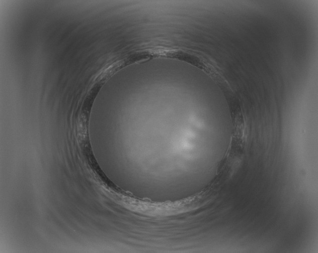 X0000081280043200701111344