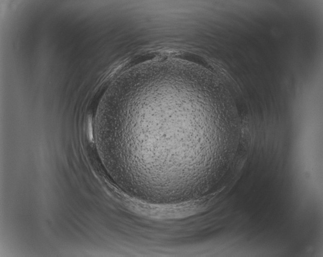 X0000081280046200701111344