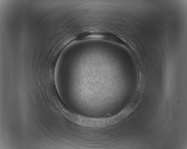 X0000081280048200701111344