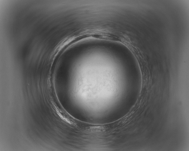 X0000081280050200701111343