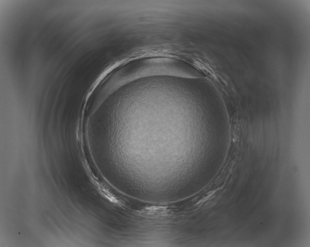 X0000081280052200701111343
