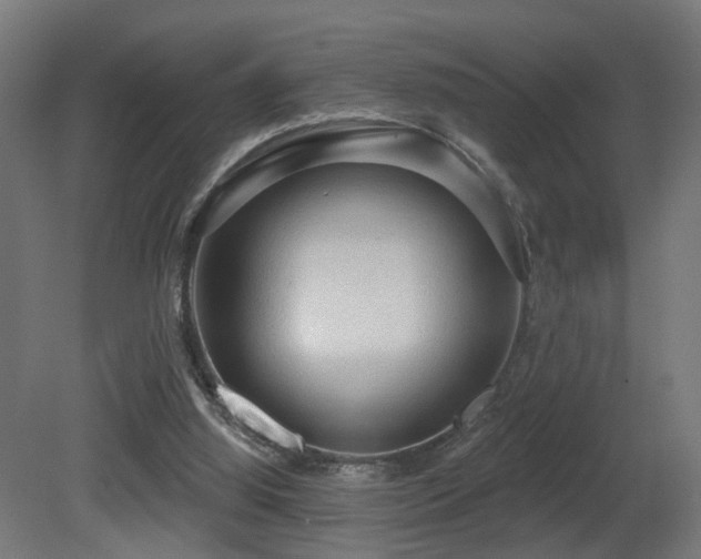 X0000081280060200701111343