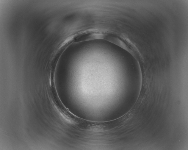 X0000081280062200701111343