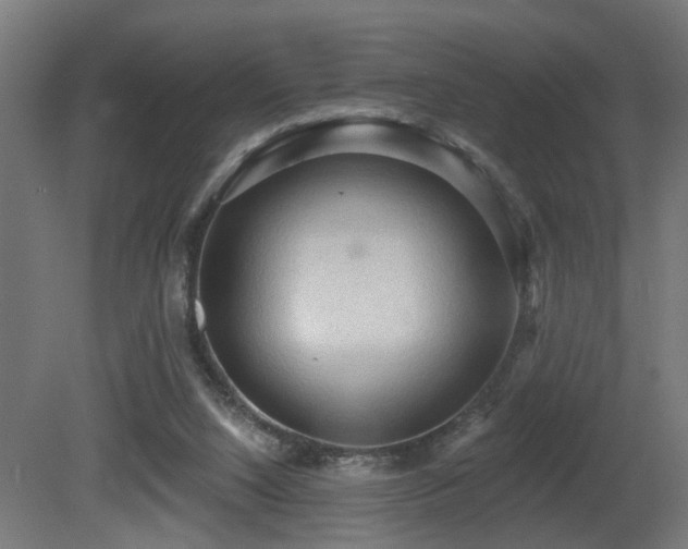 X0000081280064200701111343