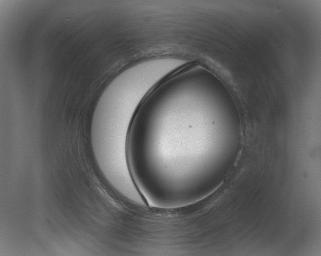 X0000081280065200701111343