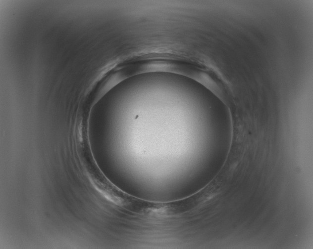 X0000081280068200701111343