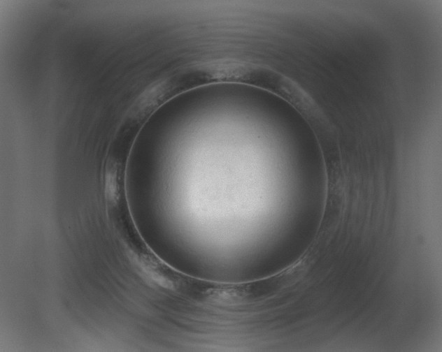 X0000081280074200701111343
