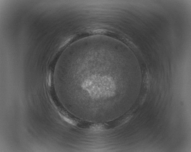 X0000081280076200701111343