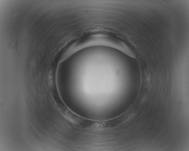 X0000081280080200701111343