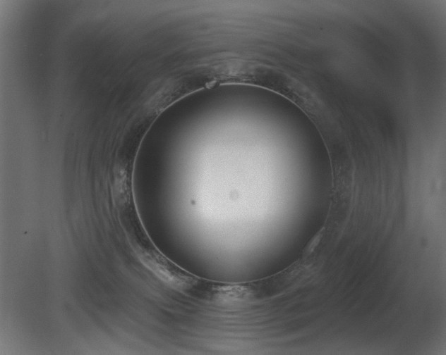 X0000081280087200701111343
