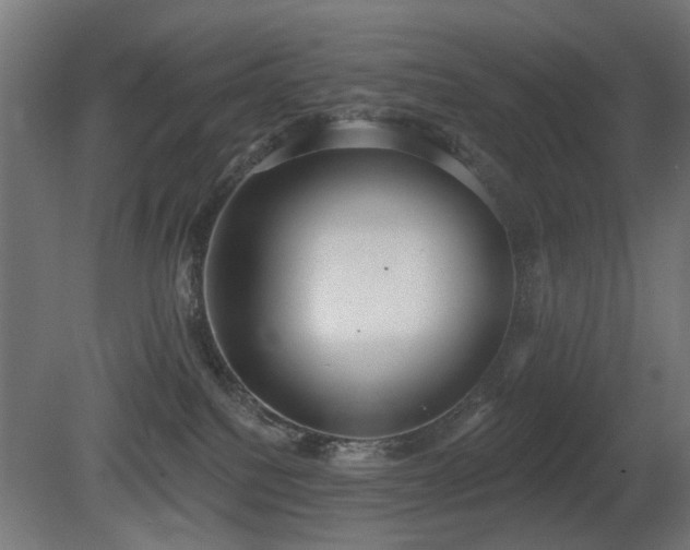 X0000081280088200701111343