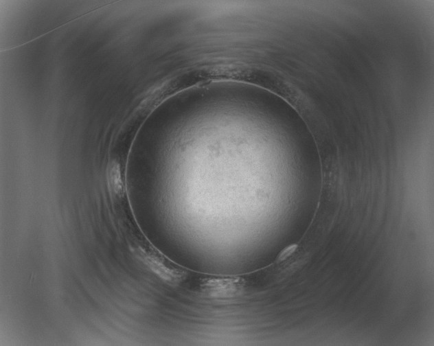 X0000081280089200701111344
