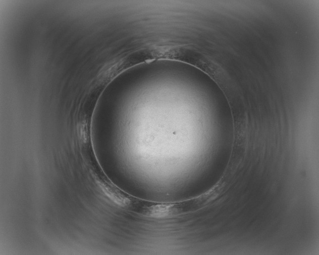 X0000081280090200701111344