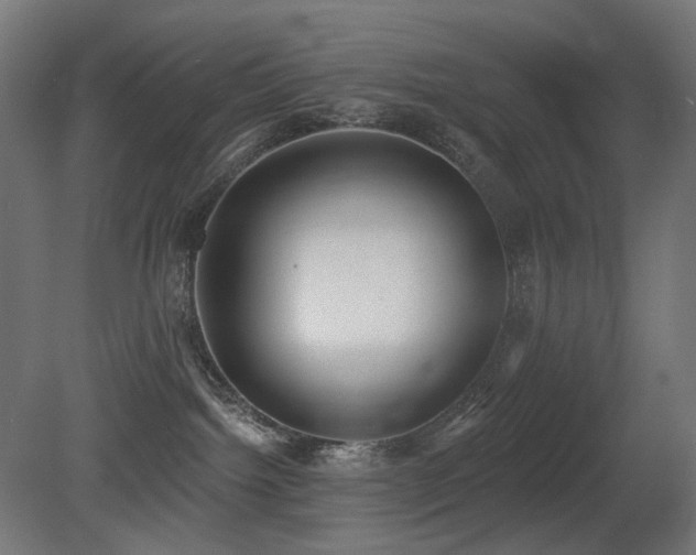 X0000081280092200701111344
