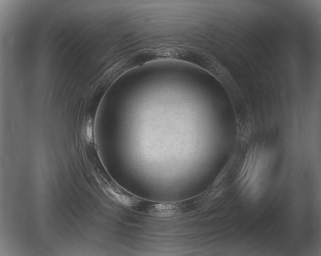 X0000081280095200701111344