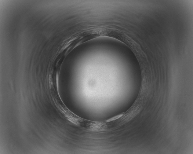 X0000081280096200701111344