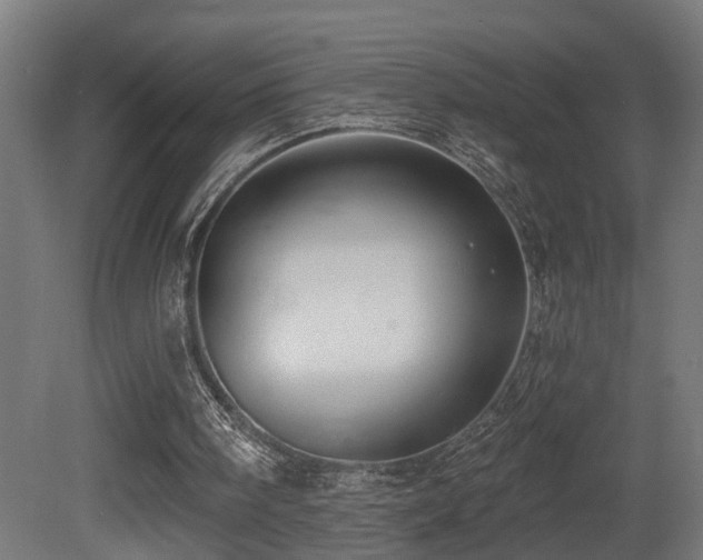 X0000081280098200701111343