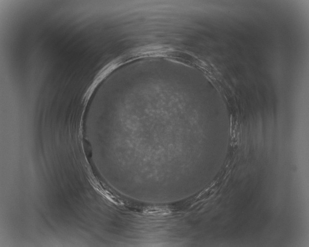 X0000081280099200701111343