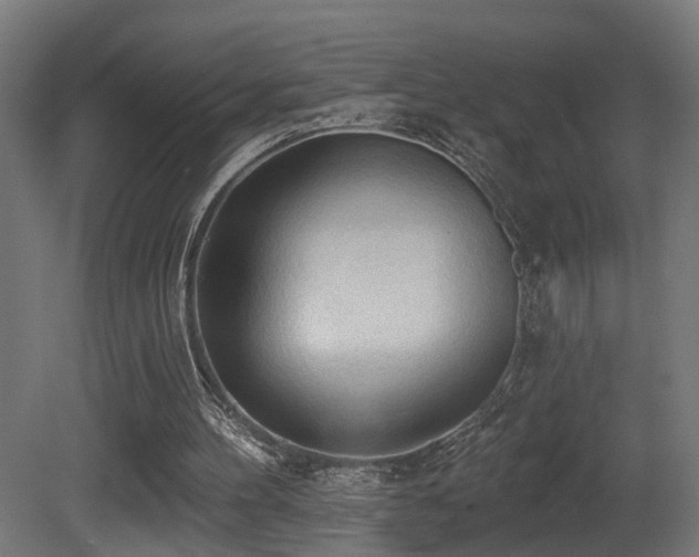 X0000081280100200701111343
