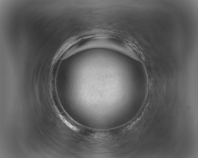 X0000081280101200701111343