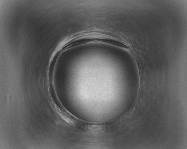 X0000081280102200701111343