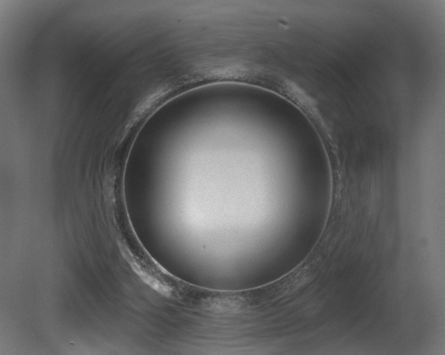 X0000081280106200701111343
