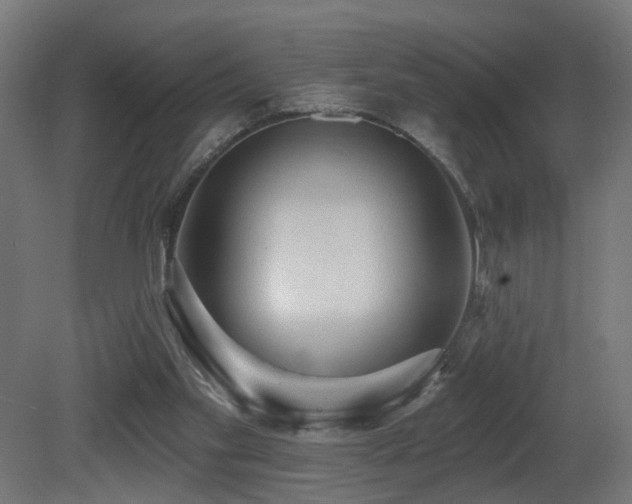 X0000081280109200701111343