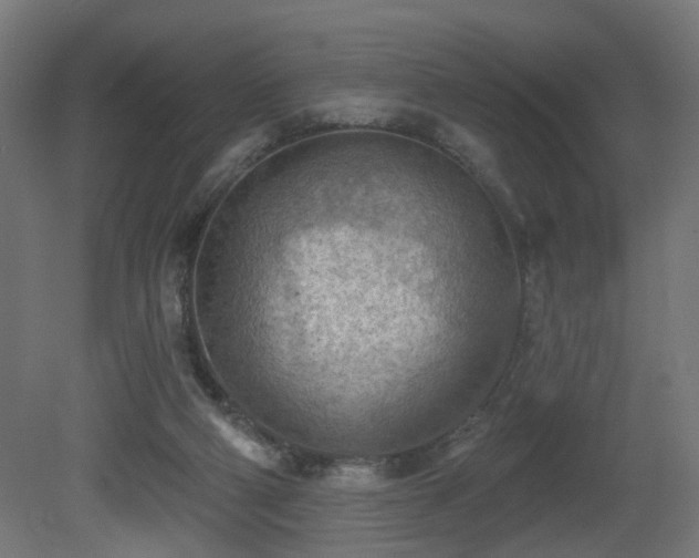 X0000081280114200701111343